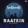 About Raatein (feat. Fernsjesan) Song